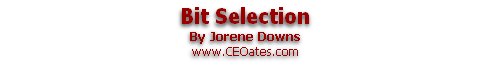 Bit Selection
By Jorene Downs
www.CEOates.com