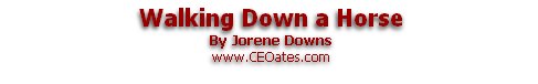 Walking Down a Horse
By Jorene Downs
www.CEOates.com